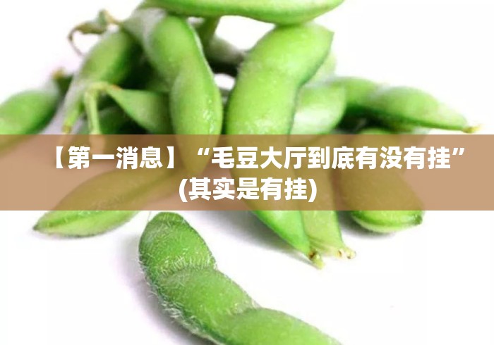 【第一消息】“毛豆大厅到底有没有挂”(其实是有挂)