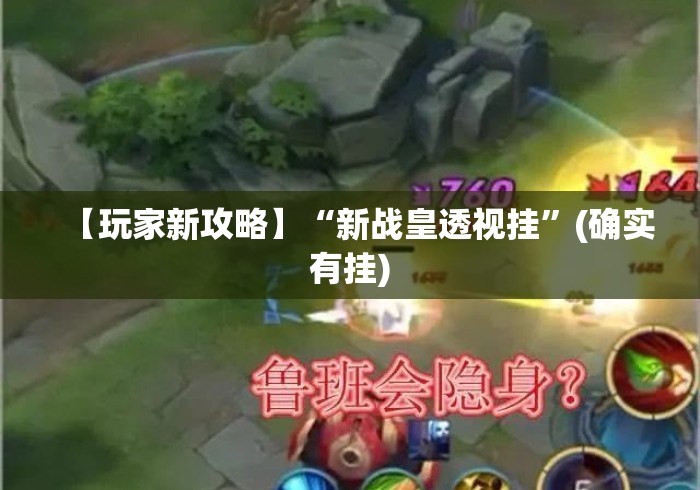【玩家新攻略】“新战皇透视挂	”(确实有挂)