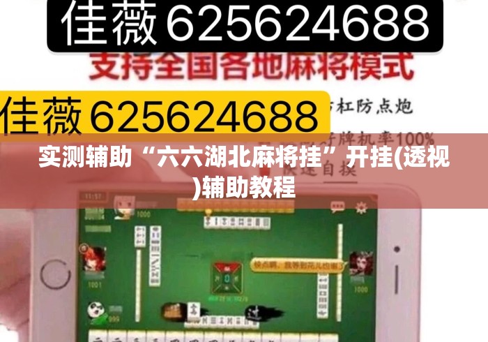 实测辅助“六六湖北麻将挂	”开挂(透视)辅助教程