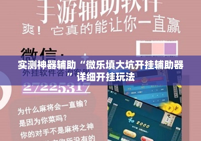 实测神器辅助“微乐填大坑开挂辅助器”详细开挂玩法