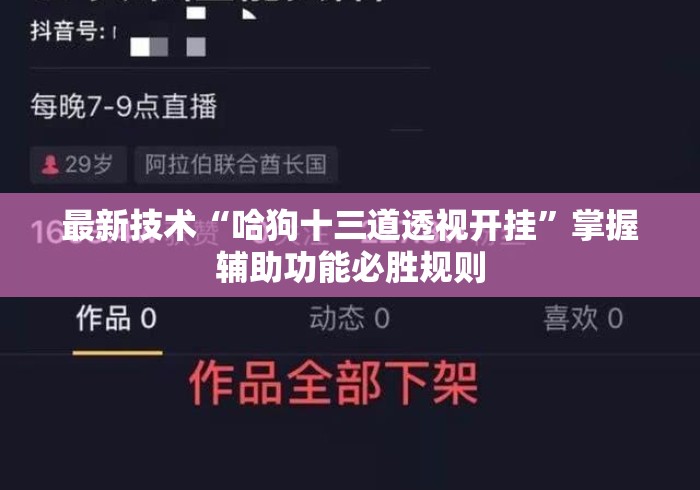 最新技术“哈狗十三道透视开挂”掌握辅助功能必胜规则