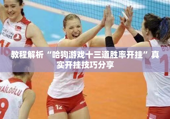 教程解析“哈狗游戏十三道胜率开挂”真实开挂技巧分享