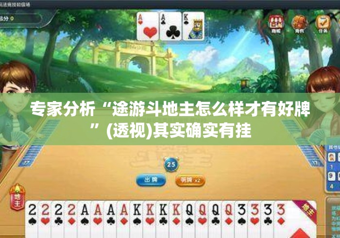 专家分析“途游斗地主怎么样才有好牌”(透视)其实确实有挂