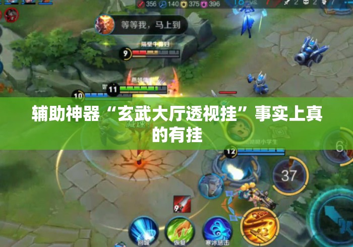 辅助神器“玄武大厅透视挂”事实上真的有挂