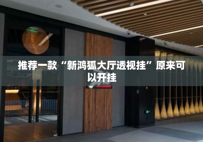 推荐一款“新鸿狐大厅透视挂”原来可以开挂