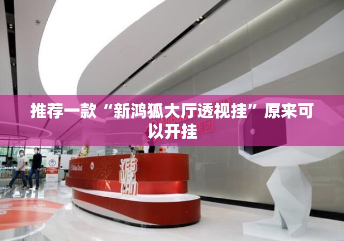 推荐一款“新鸿狐大厅透视挂”原来可以开挂