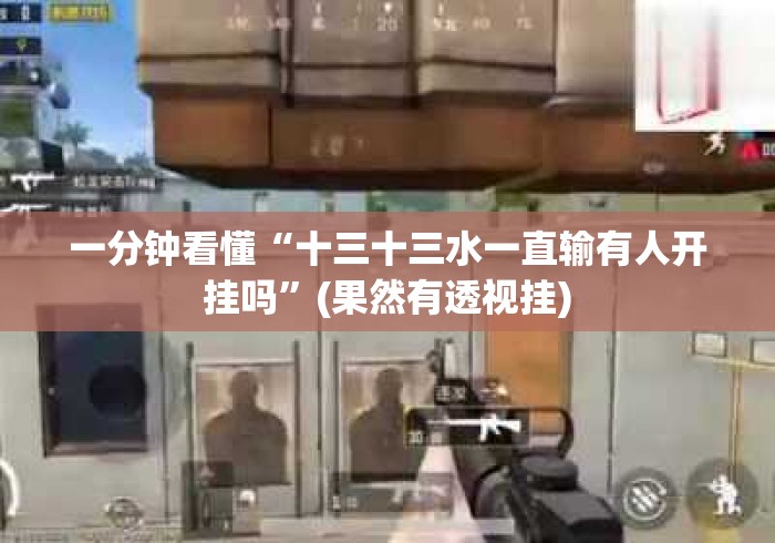 一分钟看懂“十三十三水一直输有人开挂吗”(果然有透视挂)