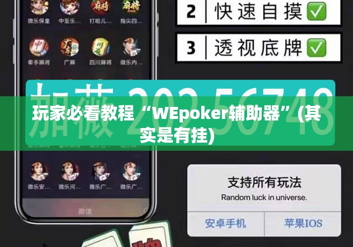 玩家必看教程“WEpoker辅助器”(其实是有挂)