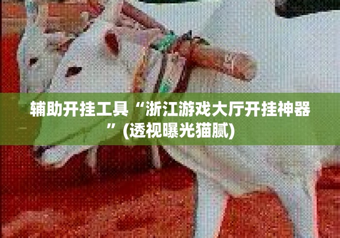 辅助开挂工具“浙江游戏大厅开挂神器”(透视曝光猫腻)