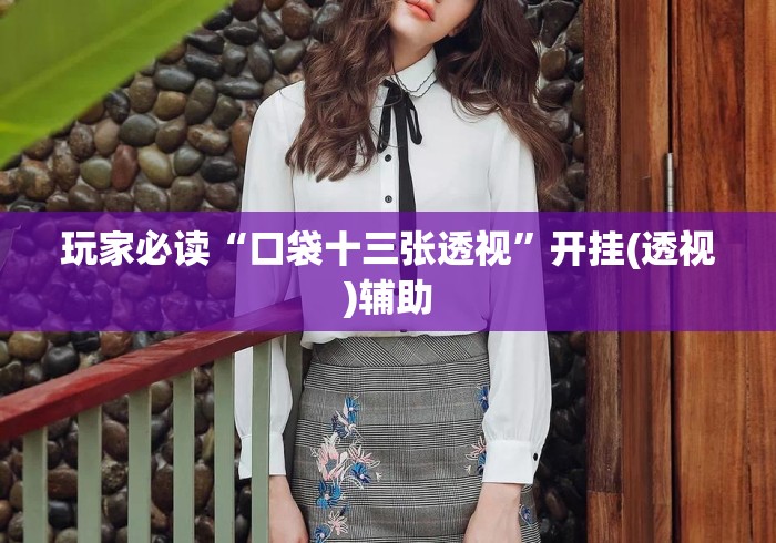玩家必读“口袋十三张透视”开挂(透视)辅助