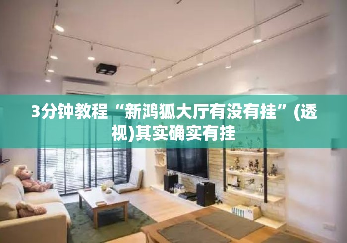 3分钟教程“新鸿狐大厅有没有挂”(透视)其实确实有挂