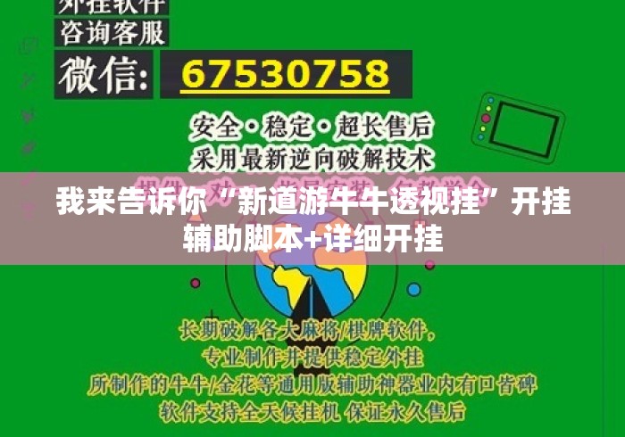 我来告诉你“新道游牛牛透视挂”开挂辅助脚本+详细开挂