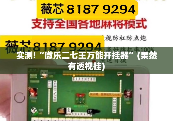 实测!“微乐二七王万能开挂器”(果然有透视挂)
