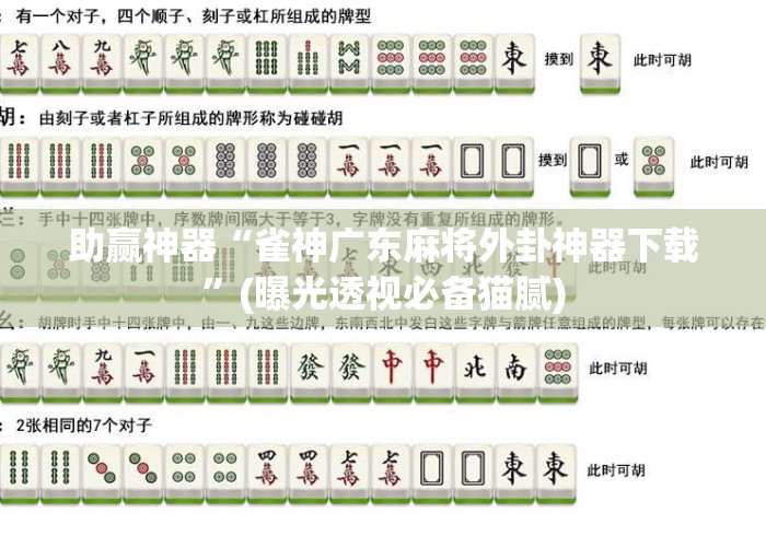 助赢神器“雀神广东麻将外卦神器下载”(曝光透视必备猫腻)