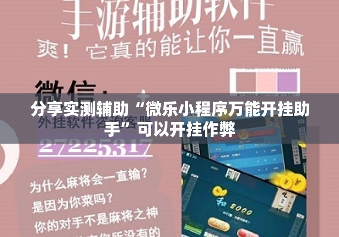 分享实测辅助“微乐小程序万能开挂助手	”可以开挂作弊