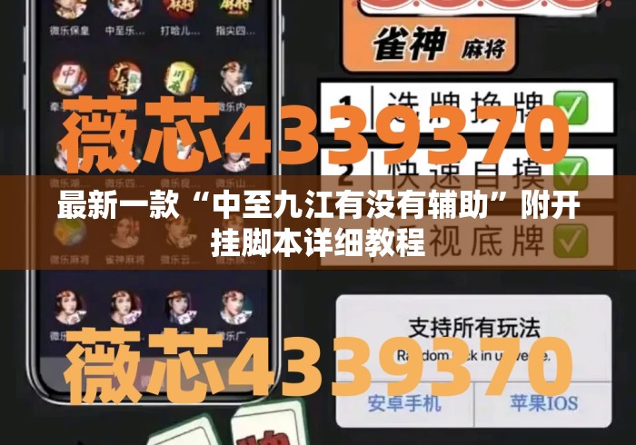 最新一款“中至九江有没有辅助”附开挂脚本详细教程