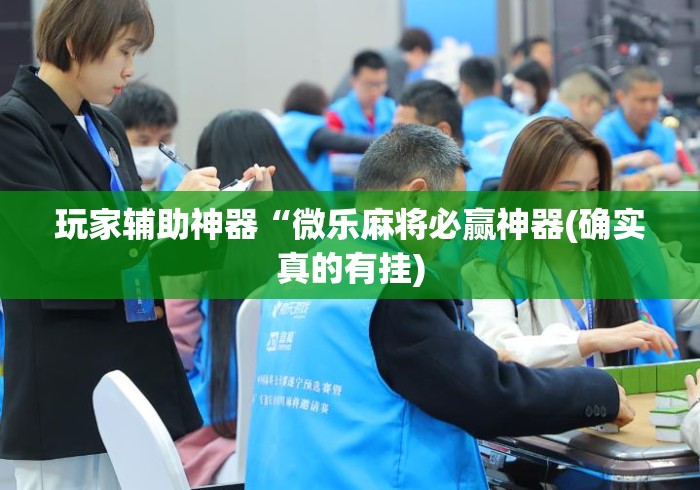 玩家辅助神器“微乐麻将必赢神器(确实真的有挂)