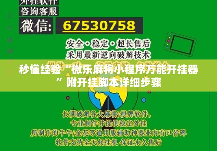 秒懂经验“微乐麻将小程序万能开挂器”附开挂脚本详细步骤