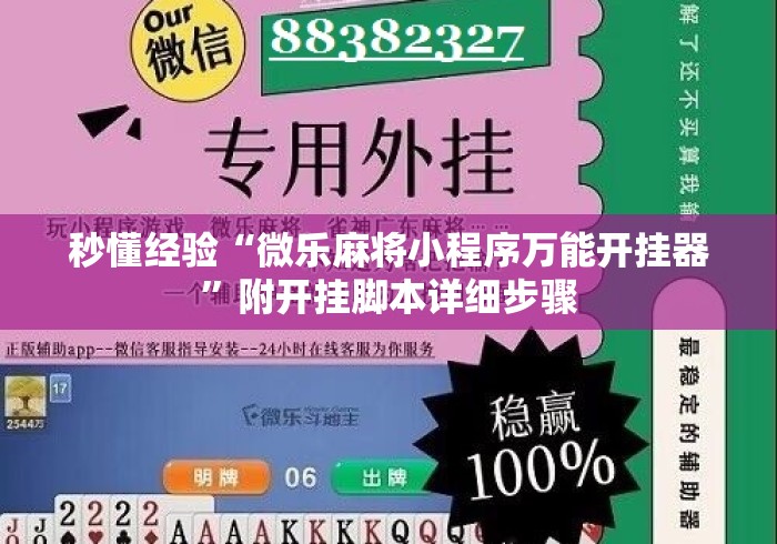 秒懂经验“微乐麻将小程序万能开挂器”附开挂脚本详细步骤