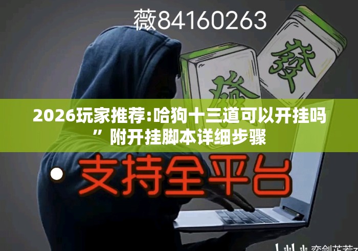 2026玩家推荐:哈狗十三道可以开挂吗”附开挂脚本详细步骤