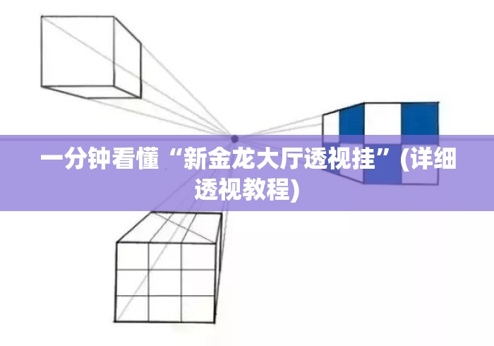 一分钟看懂“新金龙大厅透视挂	”(详细透视教程)
