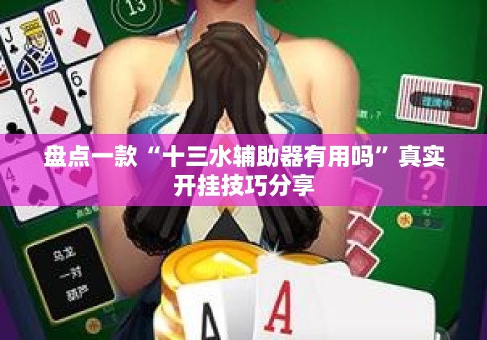 盘点一款“十三水辅助器有用吗”真实开挂技巧分享