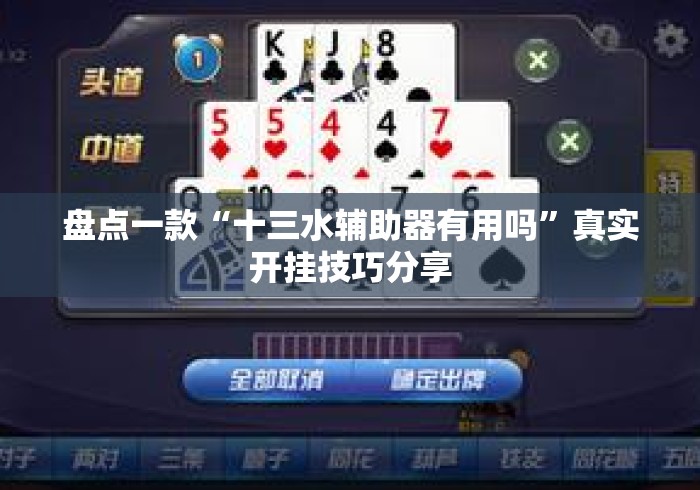 盘点一款“十三水辅助器有用吗”真实开挂技巧分享