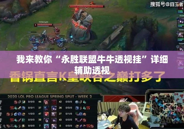我来教你“永胜联盟牛牛透视挂”详细辅助透视