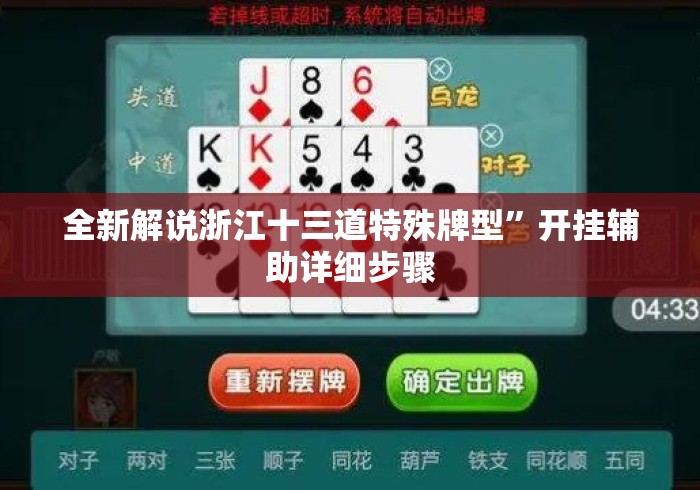 全新解说浙江十三道特殊牌型”开挂辅助详细步骤