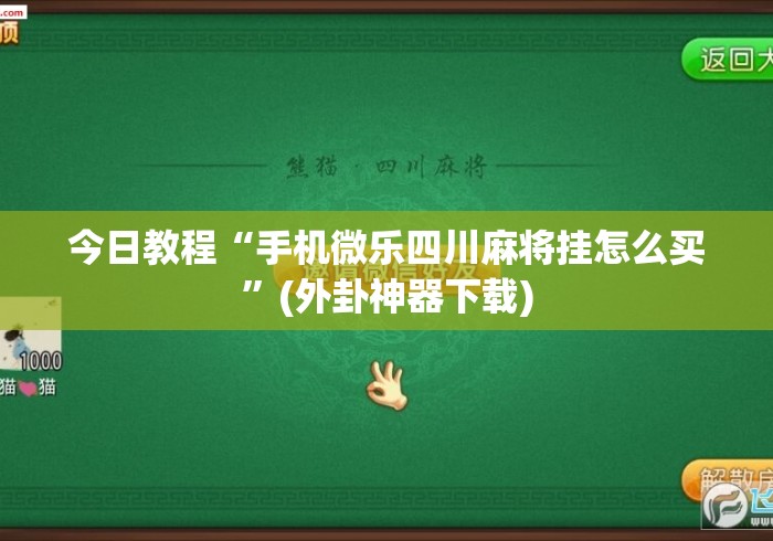 今日教程“手机微乐四川麻将挂怎么买”(外卦神器下载)