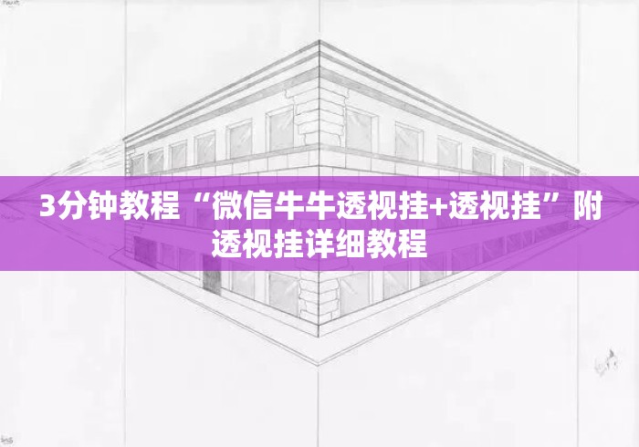 3分钟教程“微信牛牛透视挂+透视挂”附透视挂详细教程