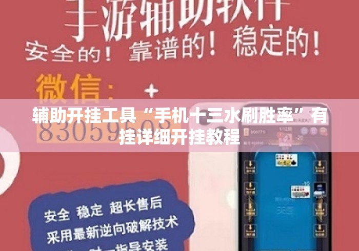 辅助开挂工具“手机十三水刷胜率”有挂详细开挂教程