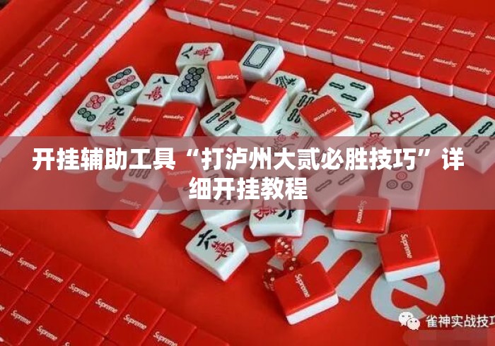 开挂辅助工具“打泸州大贰必胜技巧”详细开挂教程