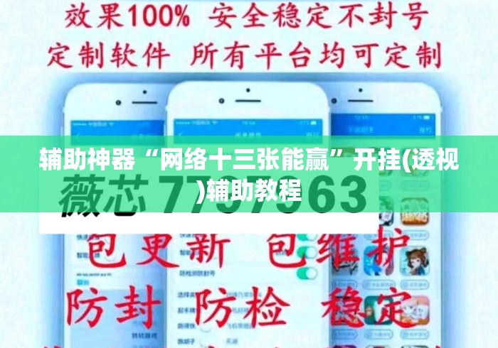 辅助神器“网络十三张能赢”开挂(透视)辅助教程