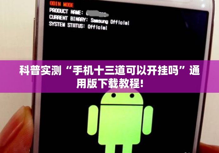 科普实测“手机十三道可以开挂吗”通用版下载教程!