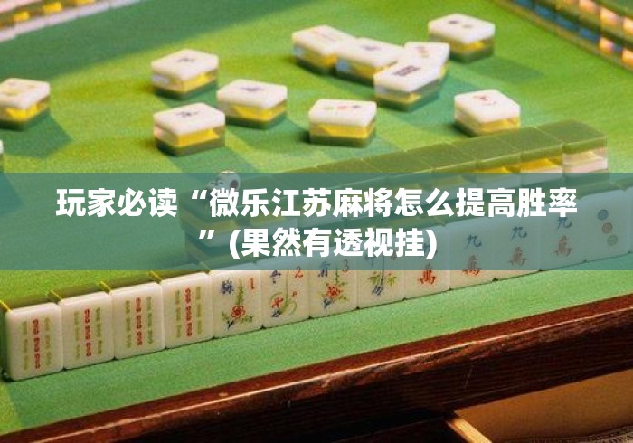 玩家必读“微乐江苏麻将怎么提高胜率”(果然有透视挂)