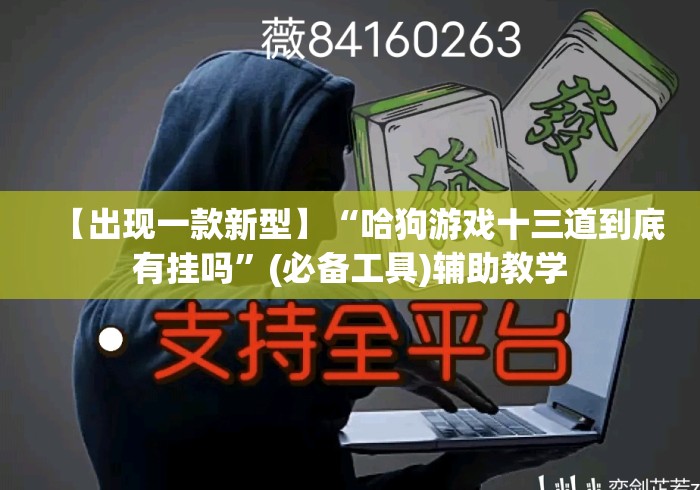【出现一款新型】“哈狗游戏十三道到底有挂吗”(必备工具)辅助教学