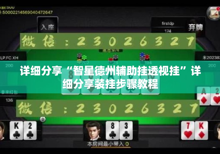 详细分享“智星德州辅助挂透视挂”详细分享装挂步骤教程