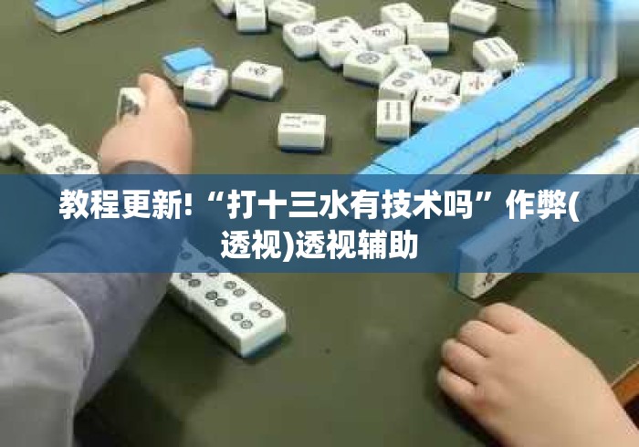 教程更新!“打十三水有技术吗”作弊(透视)透视辅助