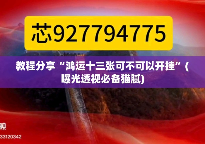 教程分享“鸿运十三张可不可以开挂	”(曝光透视必备猫腻)