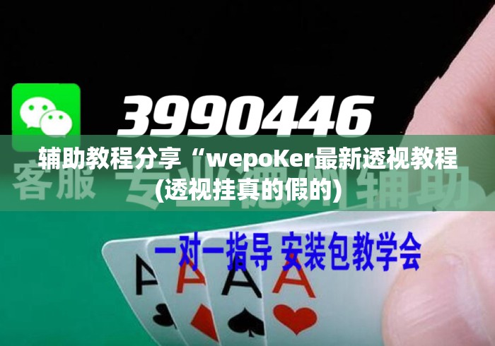 辅助教程分享“wepoKer最新透视教程(透视挂真的假的)