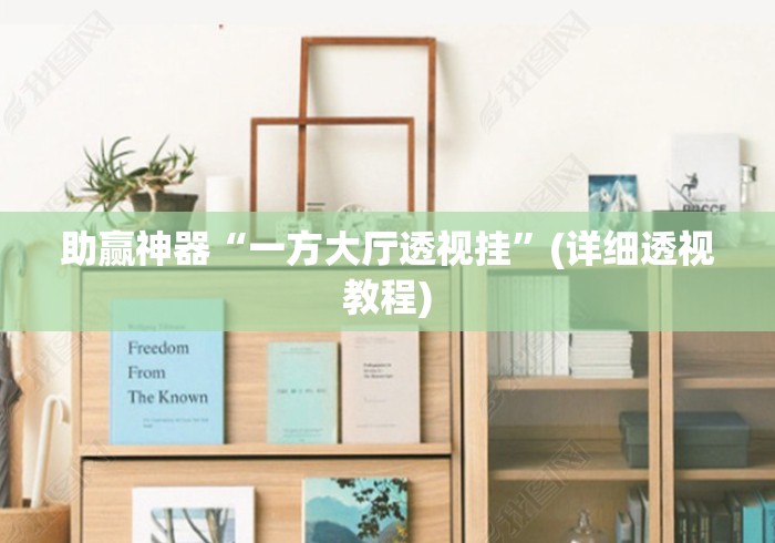 助赢神器“一方大厅透视挂”(详细透视教程)