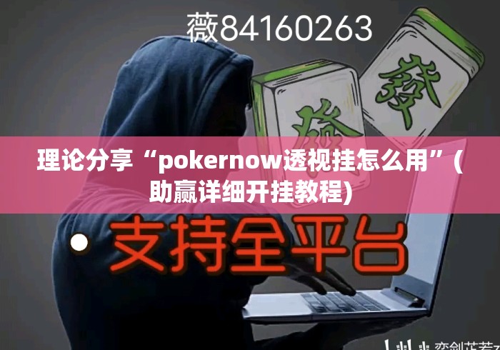 理论分享“pokernow透视挂怎么用”(助赢详细开挂教程)