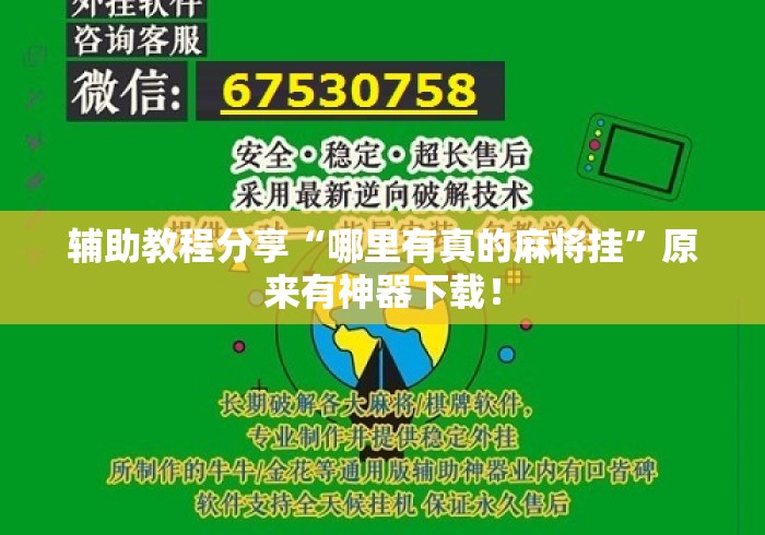 辅助教程分享“哪里有真的麻将挂”原来有神器下载！