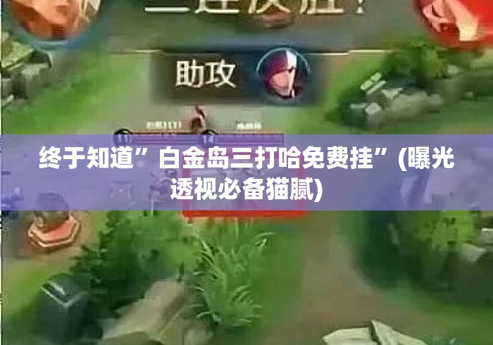 终于知道”白金岛三打哈免费挂	”(曝光透视必备猫腻)