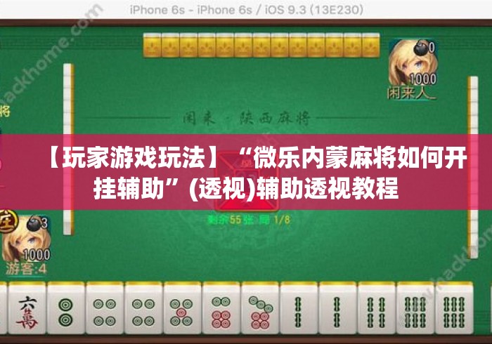 【玩家游戏玩法】“微乐内蒙麻将如何开挂辅助	”(透视)辅助透视教程