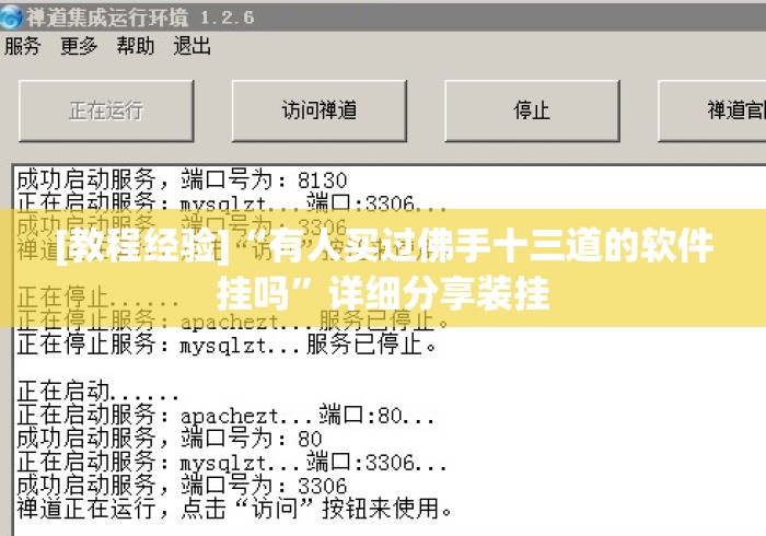 [教程经验]“有人买过佛手十三道的软件挂吗”详细分享装挂