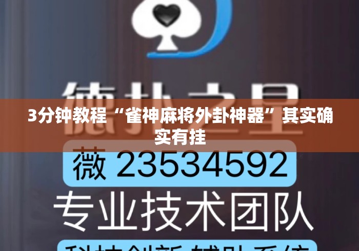 3分钟教程“雀神麻将外卦神器”其实确实有挂