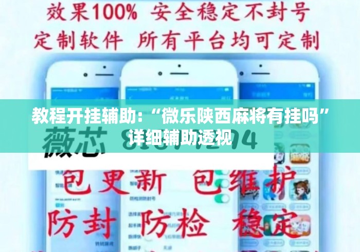 教程开挂辅助:“微乐陕西麻将有挂吗”详细辅助透视