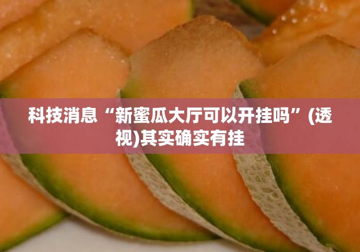 科技消息“新蜜瓜大厅可以开挂吗”(透视)其实确实有挂